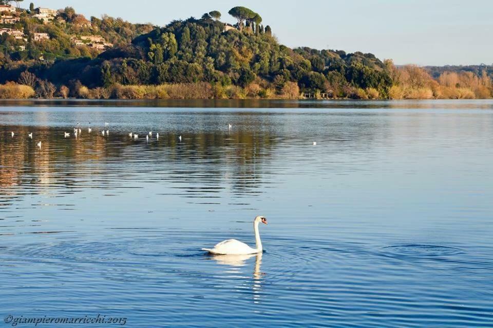Pepe Apartment -Lago Di Bracciano トレヴィニャーノ・ロマーノ エクステリア 写真